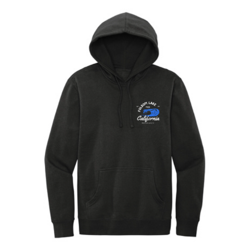 FLT Logo Hoodie